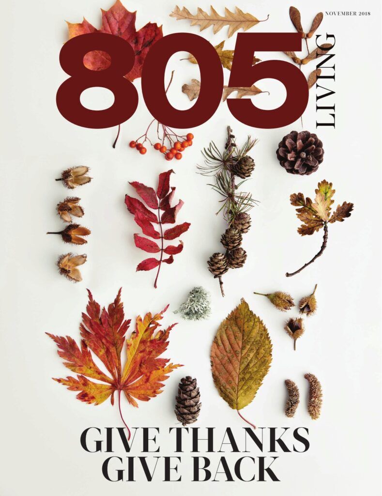 November 2018 Issue