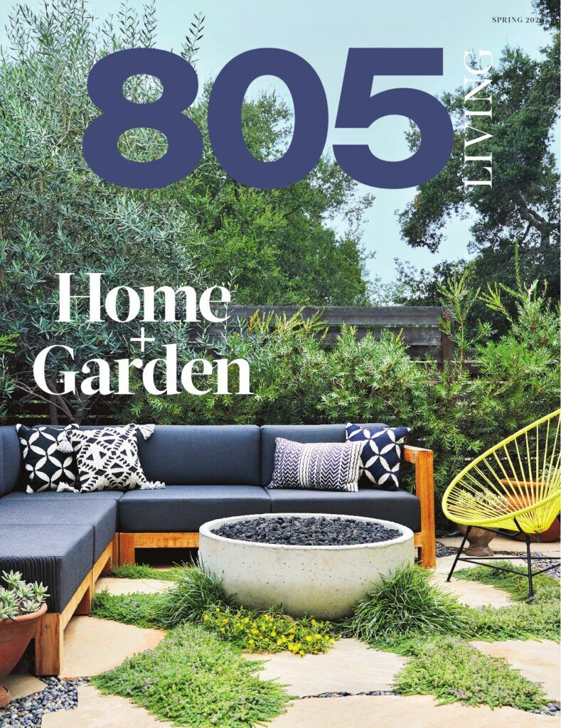 Spring 2020 Issue
