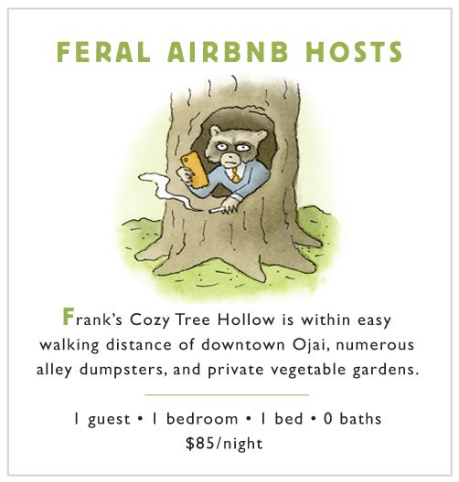 Feral airbnb hosts