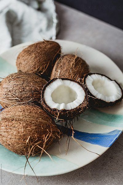 CoconutCraze