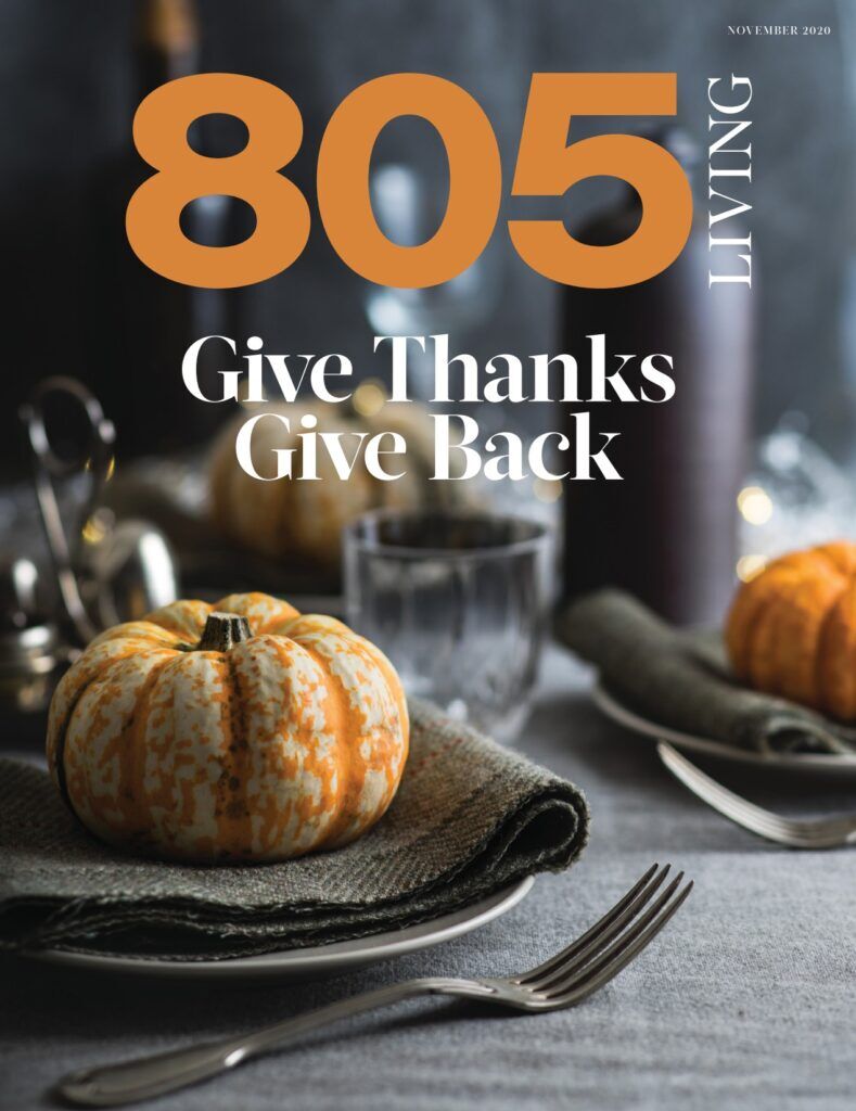 November 2020 Issue