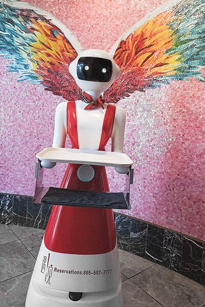 robot_pulse
