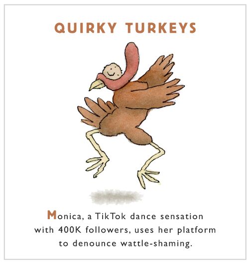 Quirky turkeys