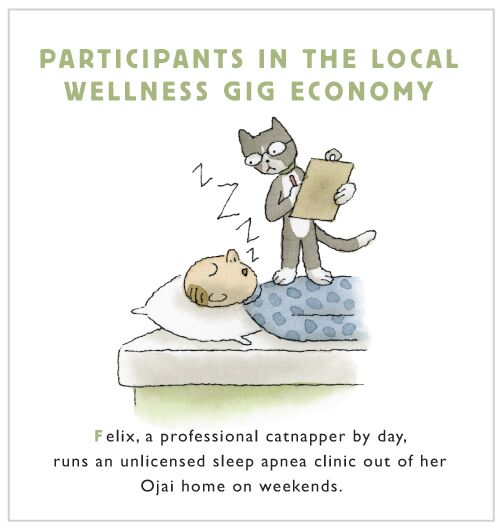Participants in the Local Wellness Gig Economy