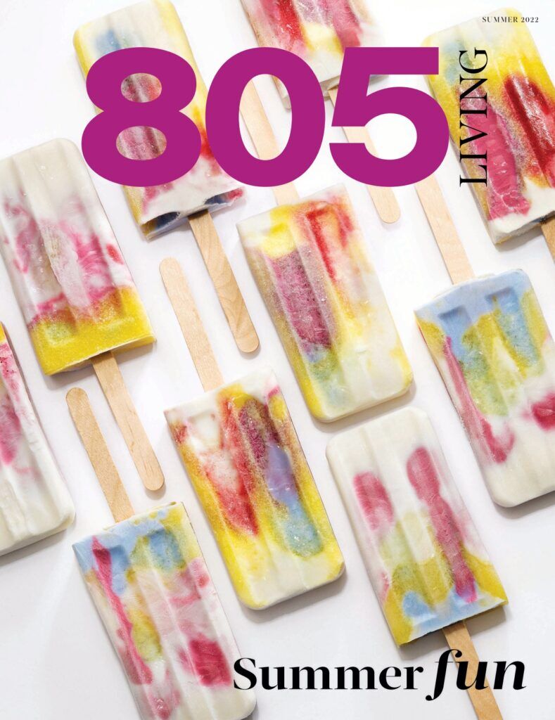 <a href="http://online.publicationprinters.com/html5/reader/production/default.aspx?pubname=&edid=04e85c30-72e3-4aad-be45-bdfa186654d1" target="_blank">Summer 2022 </a> Summer 2022 Issue