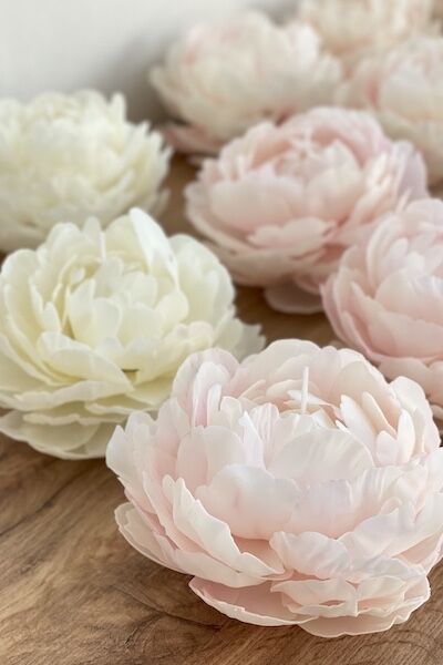 COURTESY OF OATDREAMS