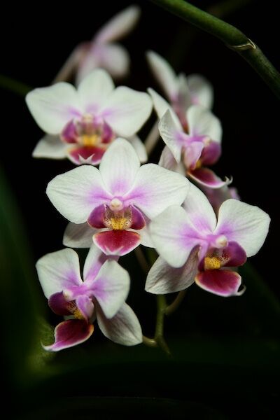 © VLAD ZAYTSEV/UNSPLASH