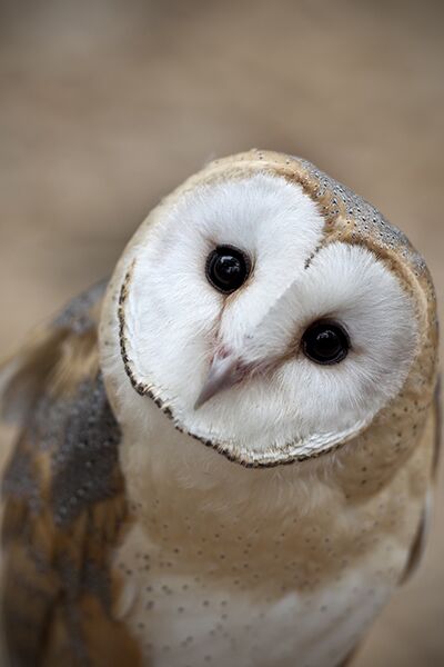 © BRANDON ALMS/STOCKSY UNITED