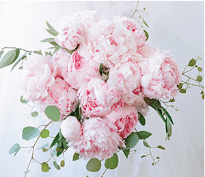 © ELIZABETH MESSINA