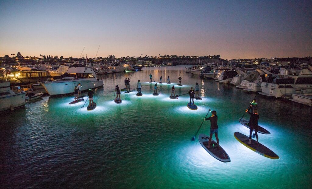 Image of paddle boarders at night in a harbor