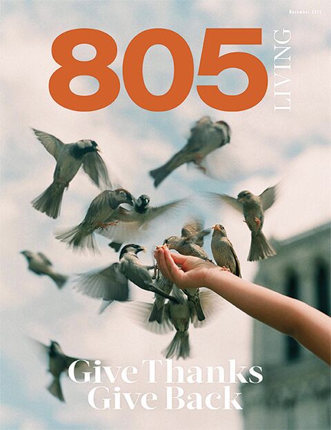 Give Thanks Give Back