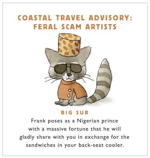 Coastal travel advisory