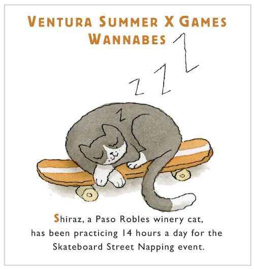 Ventura Summer X Games Wannabes