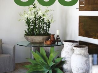 March 2011 March 2011 Issue