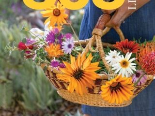 <a href="http://online.publicationprinters.com/html5/reader/production/default.aspx?pubname=&edid=df707308-1456-4334-b6a9-2ac441daf08d" target="_blank">May 2021 </a> May 2021 Issue