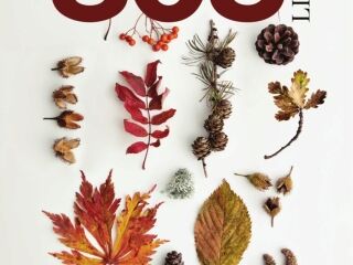 November 2018 November 2018 Issue