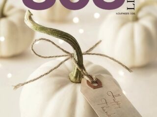 November 2016 November 2016 Issue