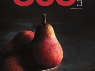 November 2015 November 2015 Issue