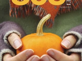 November 2012 November 2012 Issue